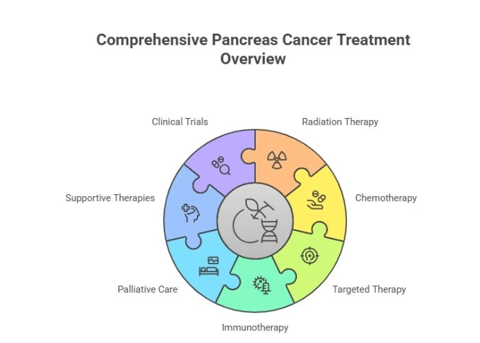 Treatment Options for Pancreas Cancer